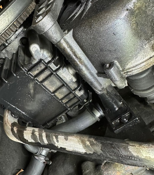 Screenshot 2026-01-12 181905.jpg