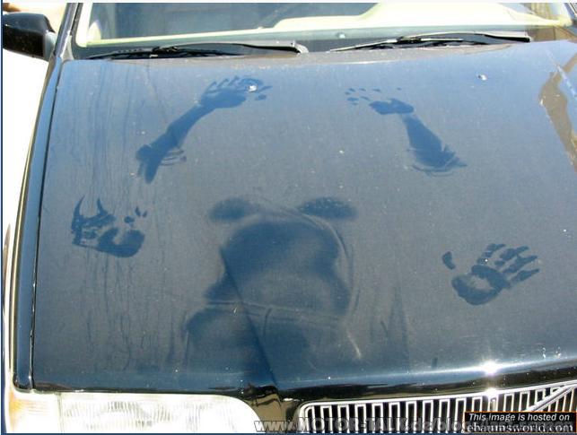 volvo-22424 Motorhaube.jpg