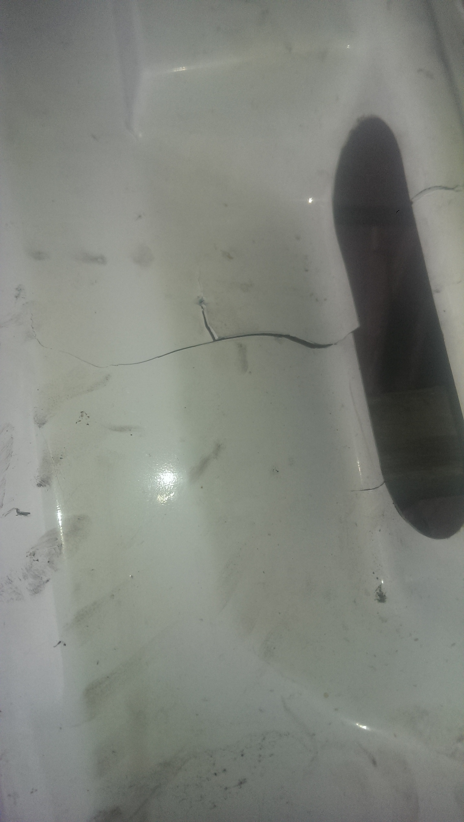 IMAG0874.jpg