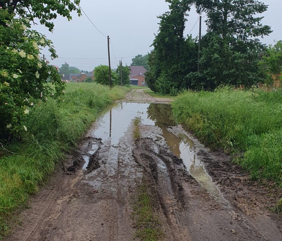 pfuetze_weg.jpg