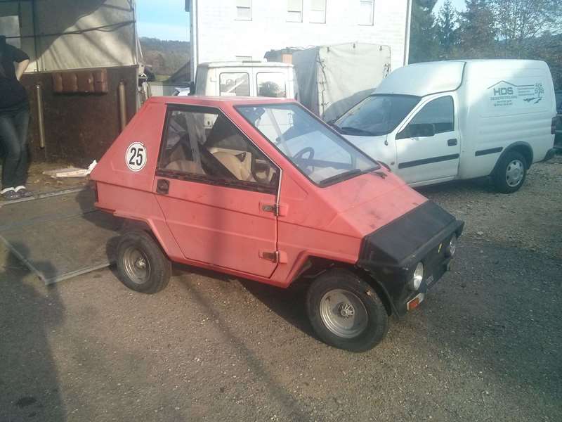 steinwinter Junior 50 x